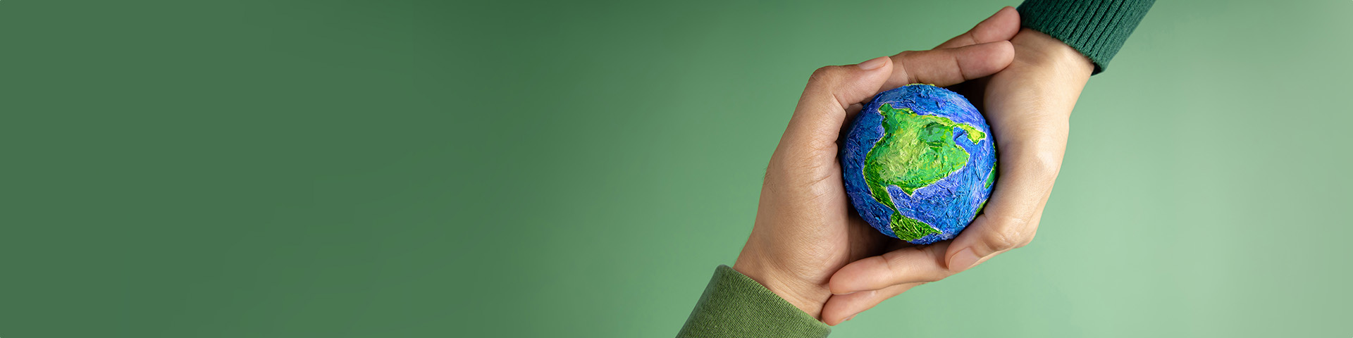 Shaping Digital Innovation for <br/> a Sustainable Future